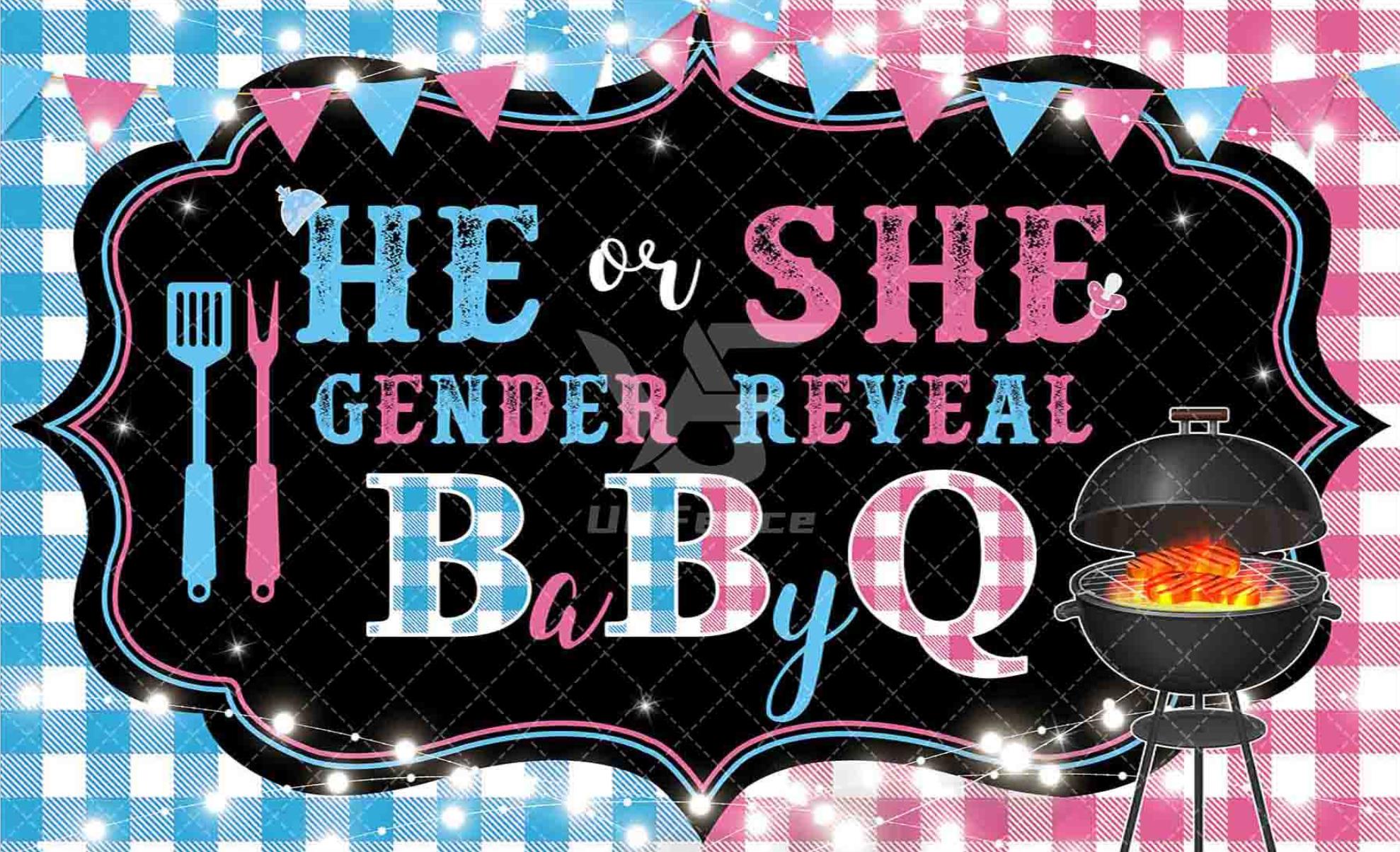 1pc, 96x60inch, Gender Reveal BabyQ Polyester Photography Backdrop, He or She Boy or Girl Birthday Background, Blue or Pink Barbecue Theme Party Decorations Gifts, Photo Booth Props Banner, Drilled Holes at the Four Corners for Easy Hanging - UUFelice Studio