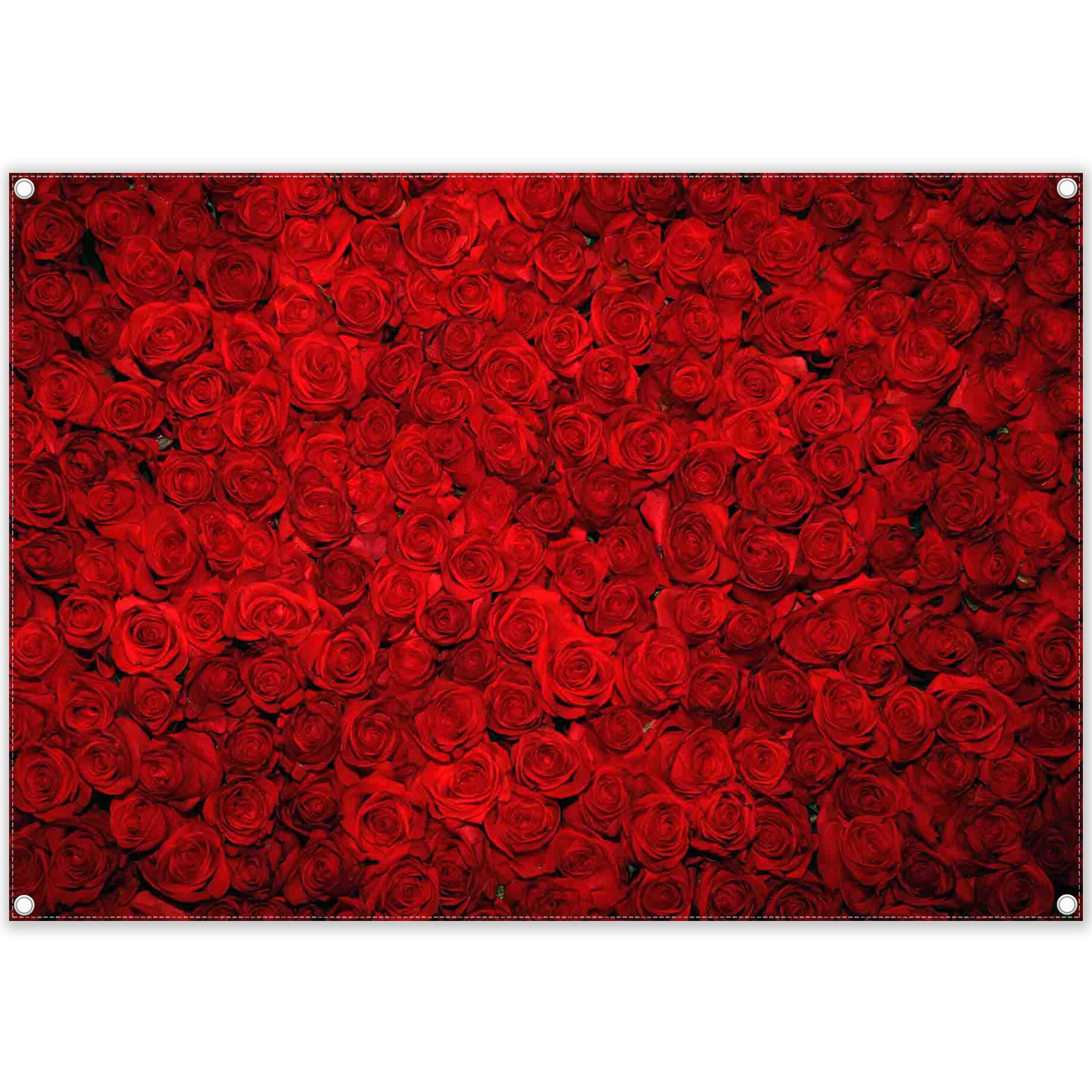 Rose Wall Floral Valentine's Day Party Decoration Background(FAST) - UUFelice Studio