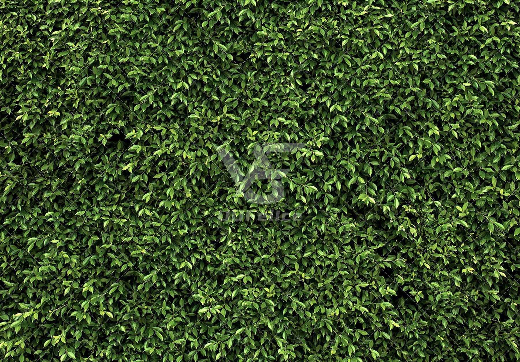 Fabric Nature Green Leaves 3D Greenery Leaf Wall Background(FAST) - UUFelice Studio