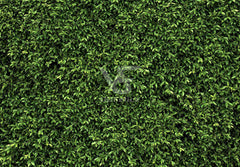 Fabric Nature Green Leaves 3D Greenery Leaf Wall Background(FAST) - UUFelice Studio