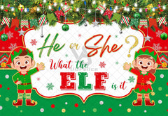 Christmas Gender Reveal He or She What The ELf is It Backdrop